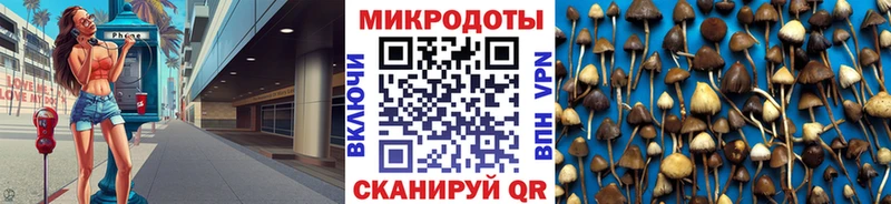 Псилоцибиновые грибы Cubensis  blacksprut   Железноводск 